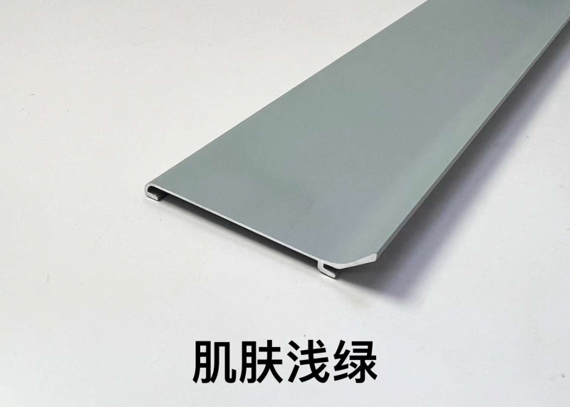 网红二代-2
